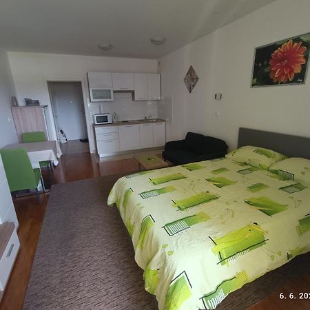 זאגרב Dalija Apartman מראה חיצוני תמונה